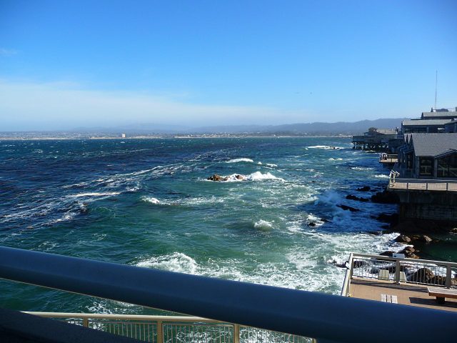 Monterey coast